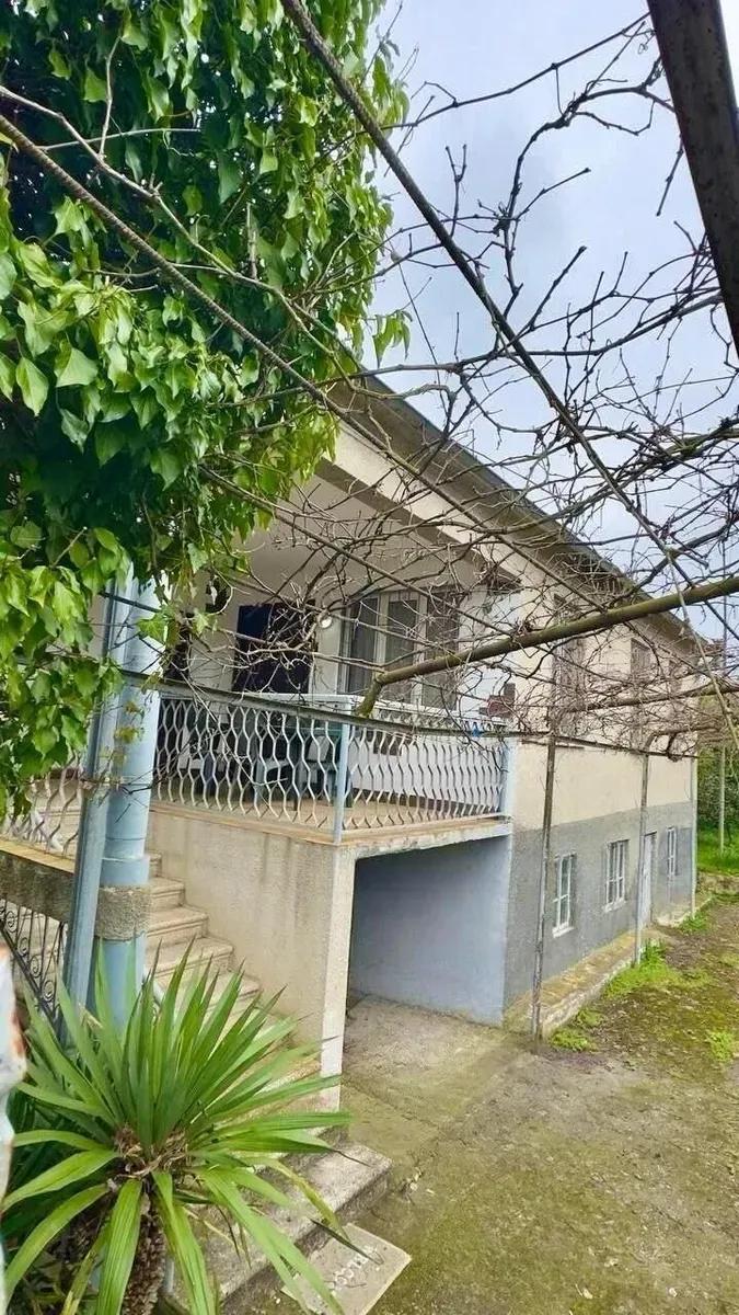 БЕЛЬЭТАЖНЫЙ ДОМ (с цитрусовым садом) — фото 1