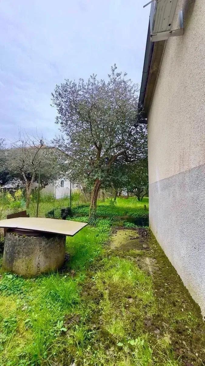 БЕЛЬЭТАЖНЫЙ ДОМ (с цитрусовым садом) — фото 10