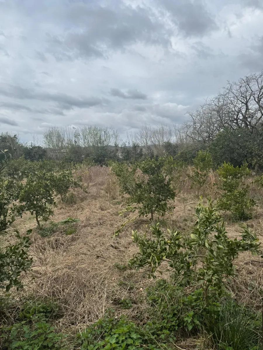 Продаю дом — фото 5