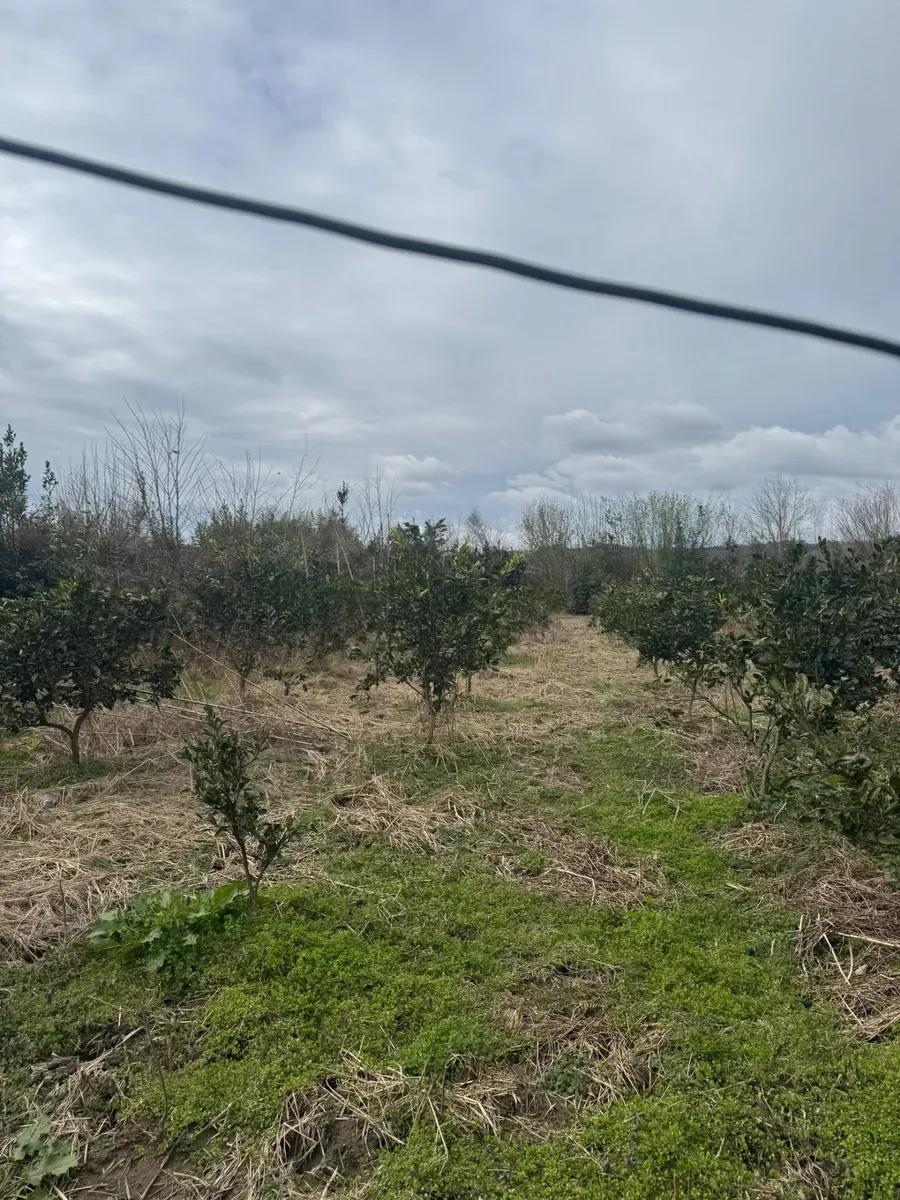 Продаю дом — фото 6